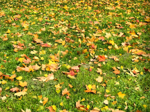 46674 (a): :1600x1200